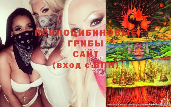 a pvp Инта