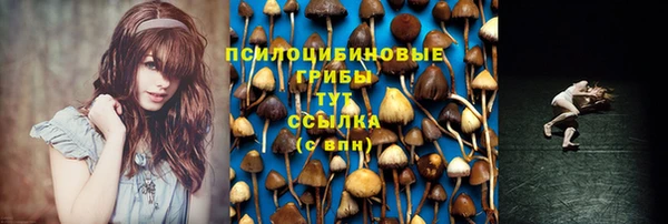 a pvp Инта