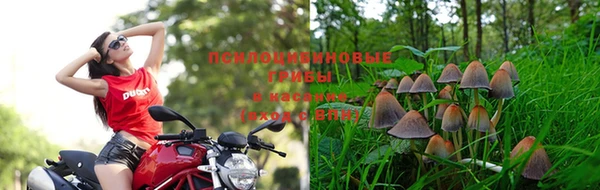 гашишное масло Инсар