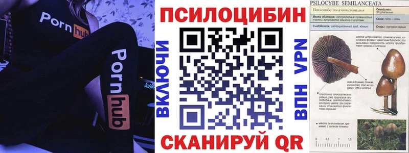 Галлюциногенные грибы Psilocybe  Купить где  Ханты-Мансийск 